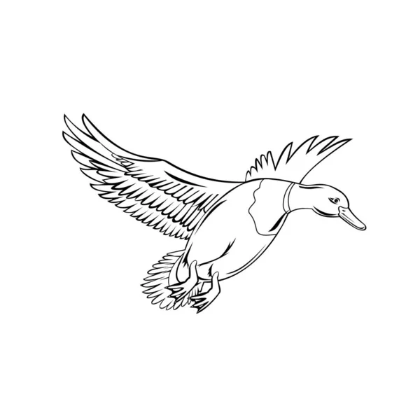 Ilustração Estilo Retrô Pato Macho Subfamília Anatinae Família Das Aves —  Vetores de Stock