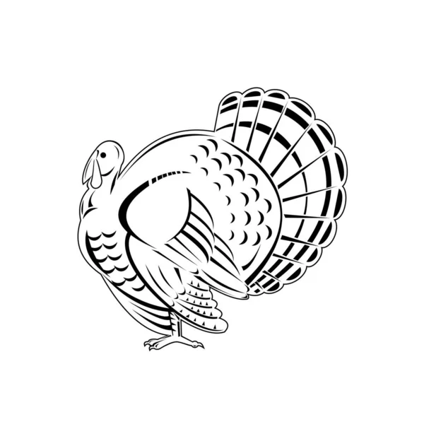 野火鸡的复古木雕风格图例是一种大鸟 原产于美洲 背景是黑白相间的 — 图库矢量图片