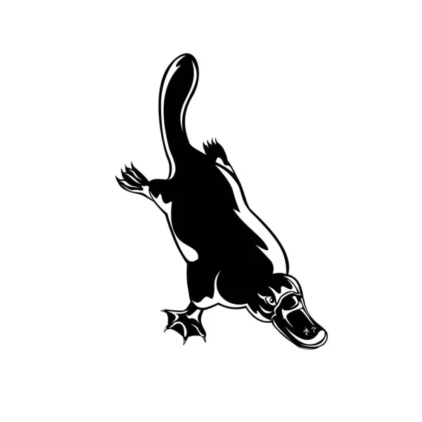 Retro Woodcut Style Illustration Duck Billed Platypus Ornithorhynchus Anatinus Semiaquatic — Vector de stock