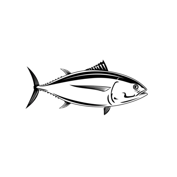 Bir Pasifik Albacore Thunnus Alalalunga Longfin Ton Balığının Retro Ahşap — Stok Vektör
