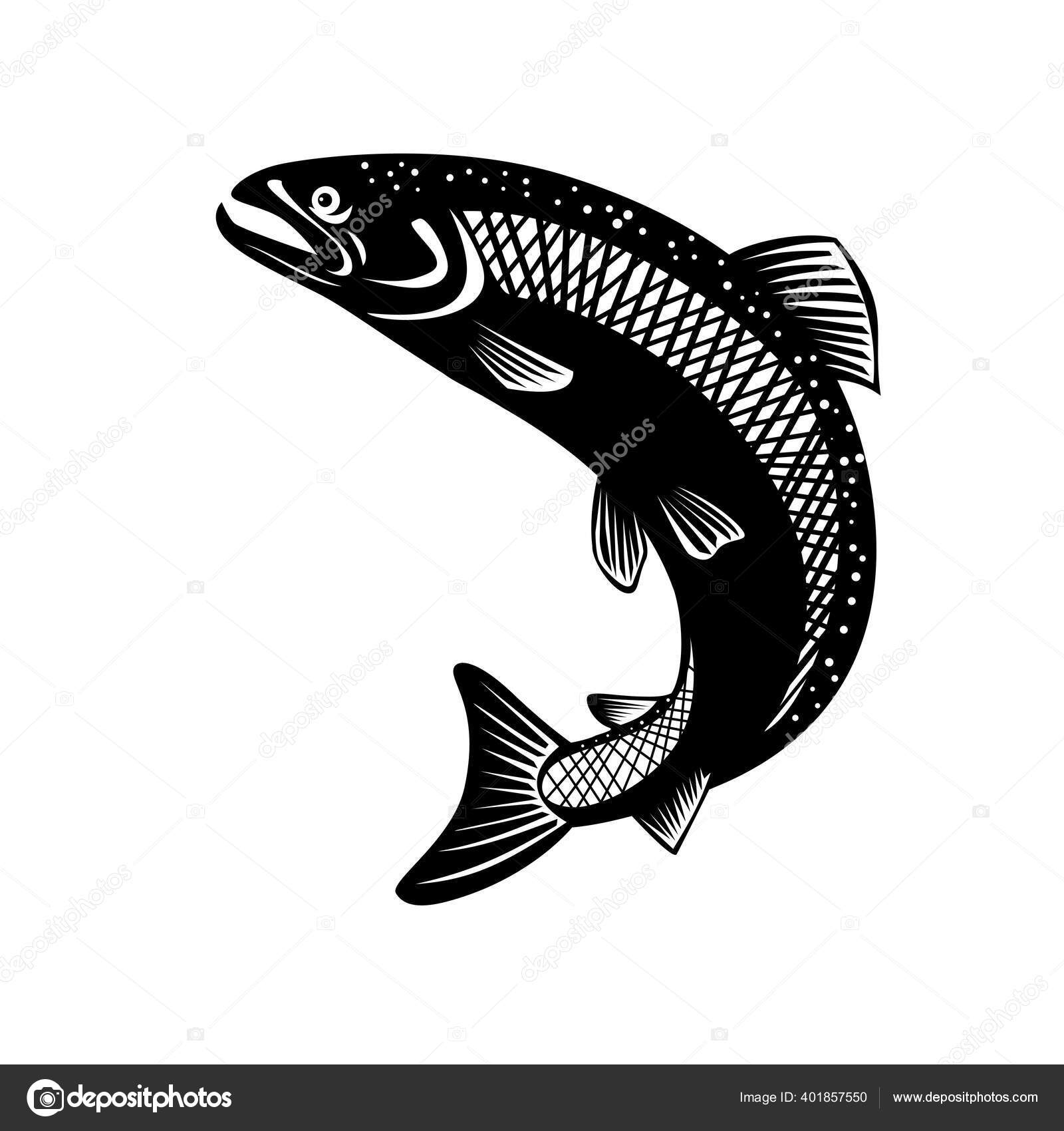 31 Steelhead Vector Images | Depositphotos