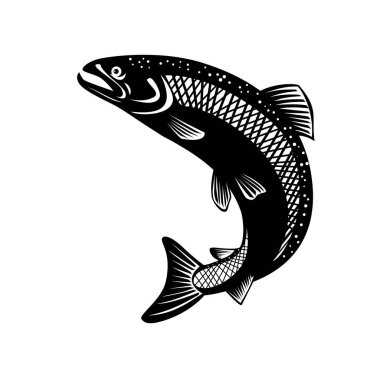 Gökkuşağı alabalığı, Oncorhynchus mykiss, Steelhead, Columbia River kırmızı bant alabalığı, kıyı gökkuşağı alabalığı, siyah beyaz arka planda yaşayan bir somonid türü..
