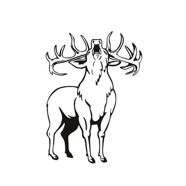 Stencil Illustration Red Deer Cervus Elaphus Una Delle Specie Cervo — Vettoriale Stock