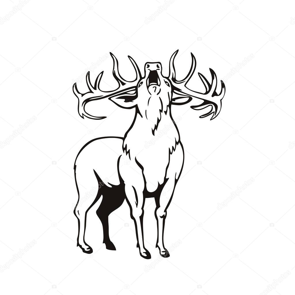 Stencil illustration of A red deer Cervus elaphus, one of the largest deer species, roaring viewed from front on isolated background done in black and white retro style.