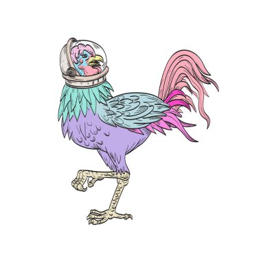 Ukiyo-e ya da ukiyo tarzı bir bazan, basabasa ya da inuhoo figürü, Japon mitolojisindeki kuş benzeri bir kuş ve izole arka planda duran uzay kaskı takan bir horoz gibi folklor..