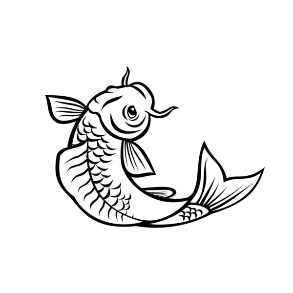 ジンリ ニシキゴイ魚の漫画風イラスト アムール鯉のカラーバリエーションシプリヌス ルブロフカス 黒と白で行われた孤立した背景に飛び跳ねる — ストックベクタ