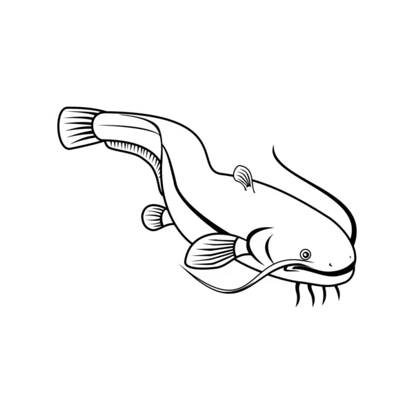 Ilustrasi Gaya Retro Dari Ikan Lele Wels Juga Disebut Sheatfish - Stok Vektor