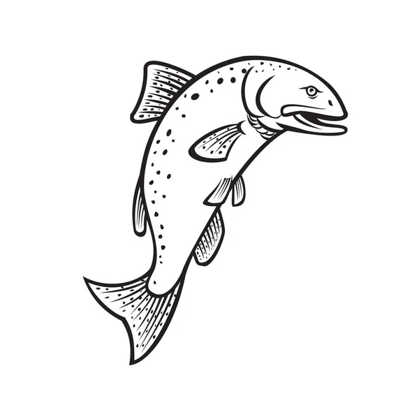卡通画风格 描绘了中国鲑鱼 金纳鱼 提伊沙门子在黑白隔离背景下跳跃的情景 — 图库矢量图片