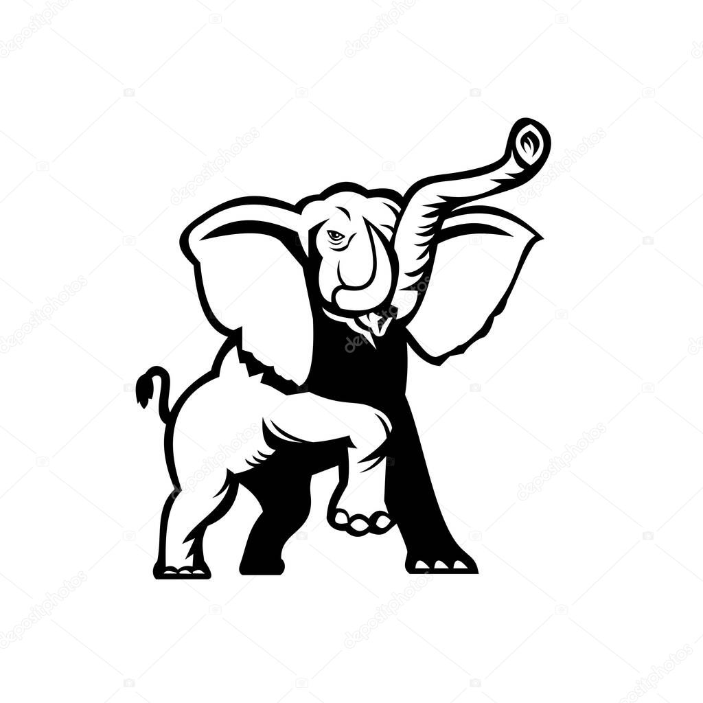 Stencil illustration of an African Elephant, Loxodonta, African bush elephant or African forest elephant prancing viewed from front on isolated background done in black and white retro style.