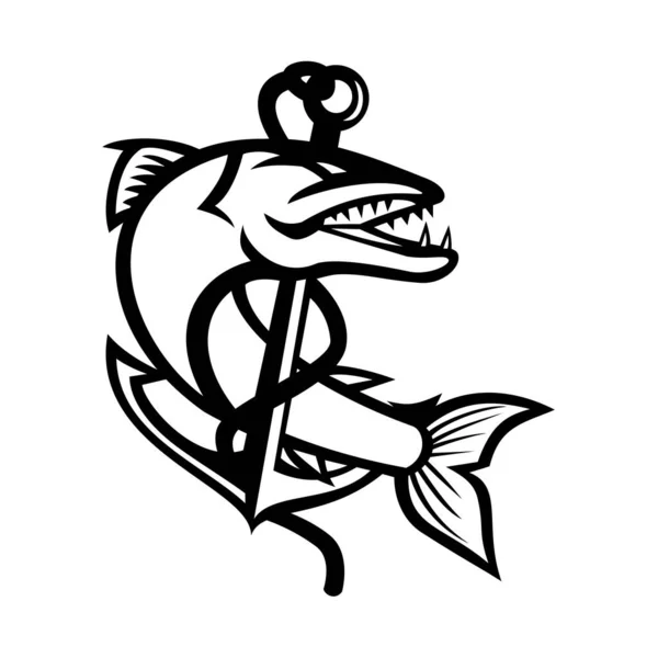 Mascotte Illustration Noir Blanc Grand Barracuda Poisson Eau Salée Qui — Image vectorielle