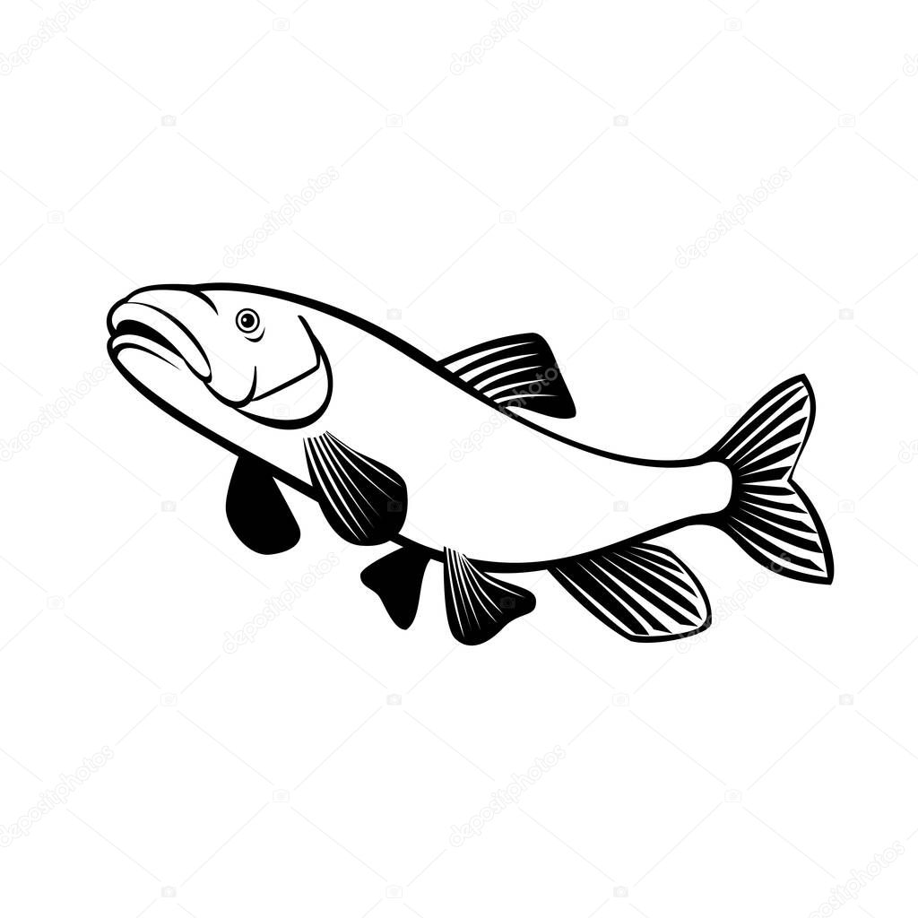 Vettoriale stockIllustrazione Stile Retrò Pollone Dal Naso Corto Una Rara  Specie di ©patrimonio #408779858, image size:1024x1024