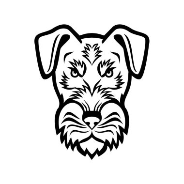 Kızgın bir Jagdterrier, Avcı Teriyeri ya da Alman Avcı Teriyeri 'nin başındaki siyah ve beyaz maskotun resmi..