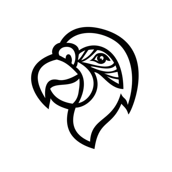 Bir Papağan Veya Psittacine Kuşunun Başındaki Maskot Simgesi Çoğunlukla Siyah — Stok Vektör