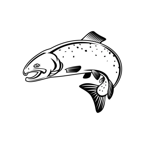 Retro Woodcut Style Illustration Coho Salmon Oncorhynchus Kisutch Silver Salmon — Stock Vector