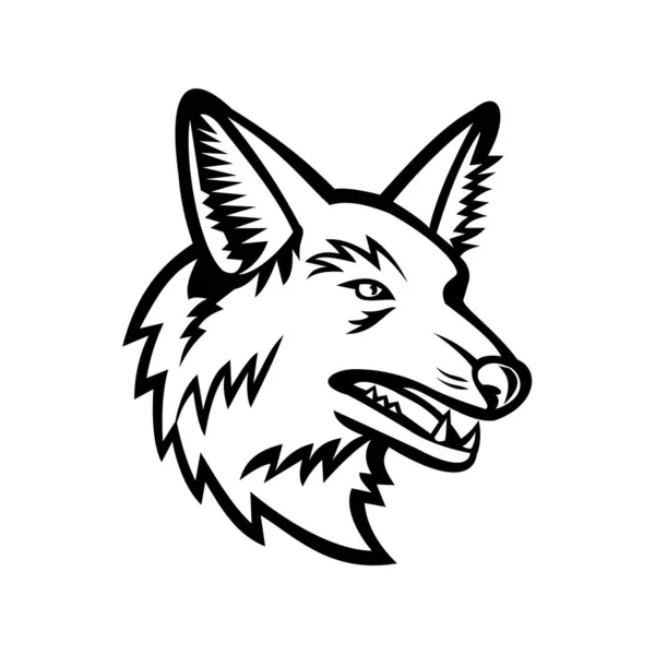 Mascote Esportivo Preto Branco Ilustração Cabeça Lobo Guará Maior Canid — Vetor de Stock