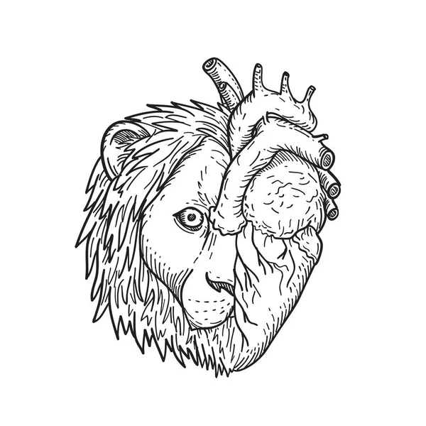 Dessin Noir Blanc Illustration Style Croquis Cœur Lion Tête Demi — Image vectorielle