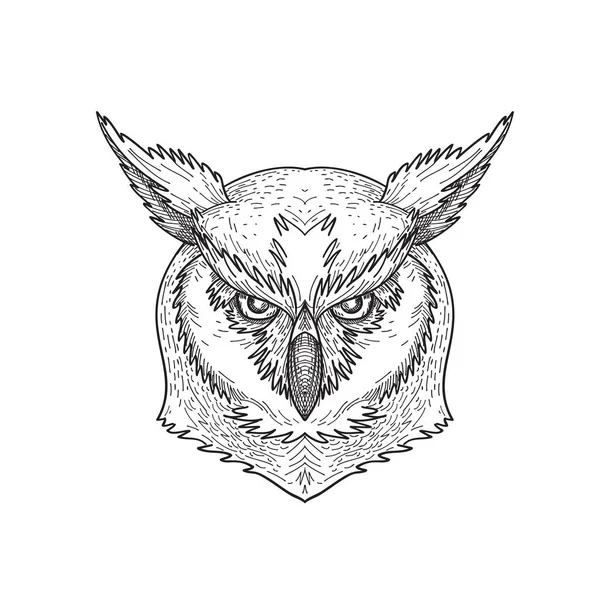 Dessin Noir Blanc Illustration Style Croquis Une Tête Grand Hibou — Image vectorielle