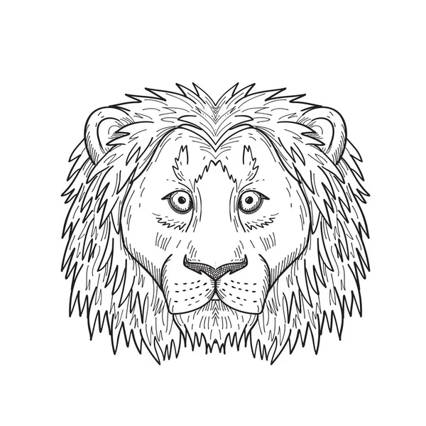 Dessin Noir Blanc Illustration Style Croquis Une Tête Lion Lâche — Image vectorielle