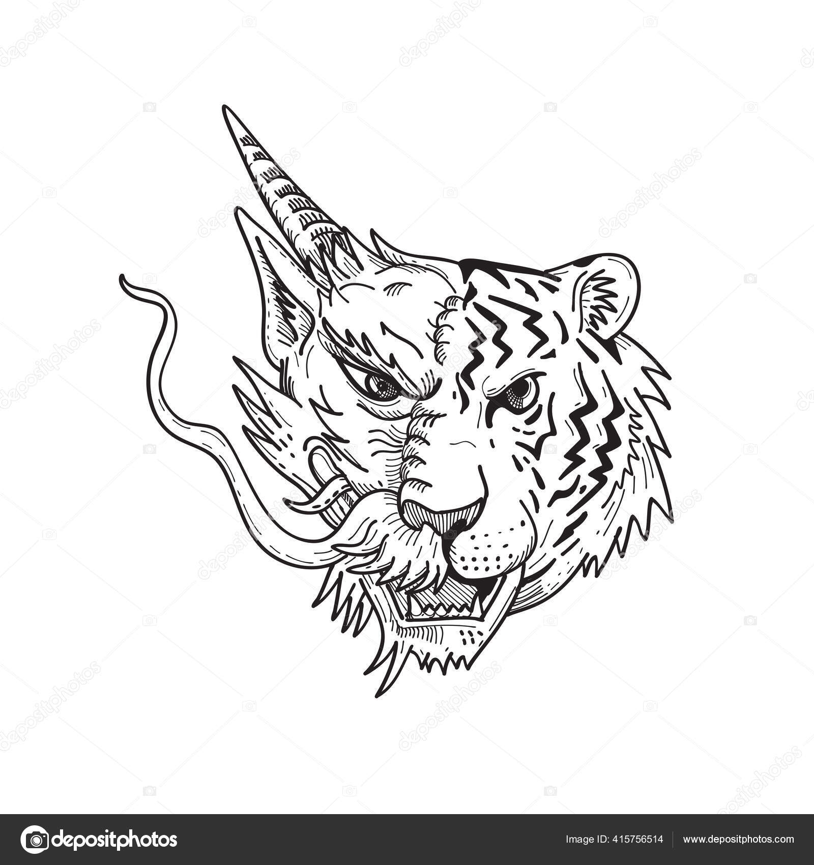 Desenho Esboço Ilustração Estilo Uma Cabeça Meio Dragão Chinês Metade Vetor  de ©patrimonio 415756514, image size:1600x1700