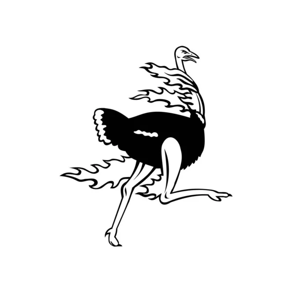 吉祥物描绘了一种常见的鸵鸟 一种原产于非洲的大型无飞行鸟 在燃烧时从侧面以黑白复古风格在孤立的背景下奔跑 — 图库矢量图片