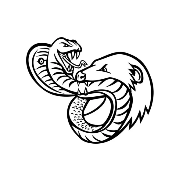 Маскот Ілюстрації Отруйної Королівської Кобри Змії Боротьби Мангурами Кусаючи Нападаючи — стоковий вектор