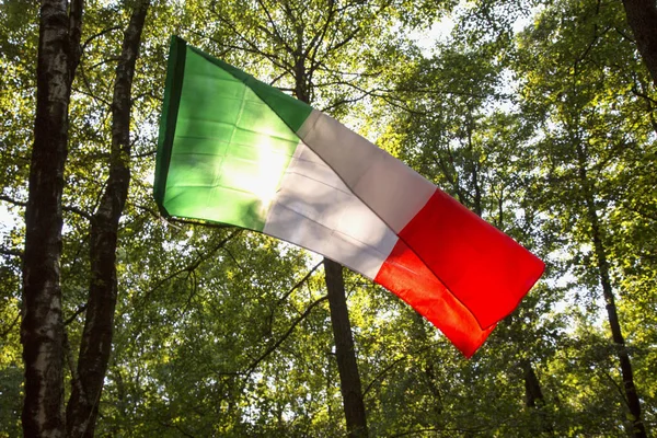 Italiensk Flagg Skogen Horisontalt Bilde – stockfoto