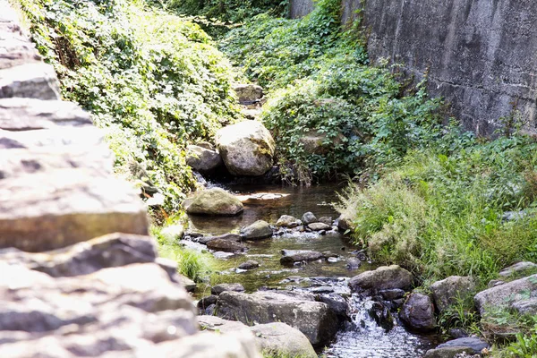 水平方向の画像の石の間流れるストリーム — ストック写真