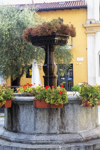 Brunnen Mit Blumen Nahaufnahme Vertikales Bild — Stockfoto