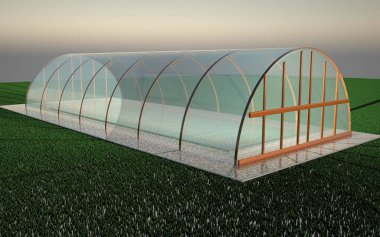 Yeşil çimen, 3d render üzerinden saydam sera