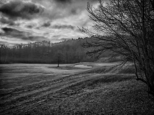 Świt Lesie Obraz Krajobraz Hdr — Zdjęcie stockowe