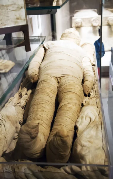 Mummia nel Museo Egizio — Foto Stock