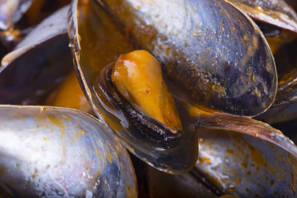 Miesmuscheln in Nahaufnahme — Stockfoto