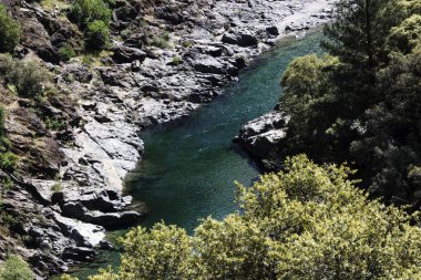 Kuzey Kaliforniya yeşil ağaçlar kayalık sahil yukarıda yüksek iz her bakıldığında Nehri