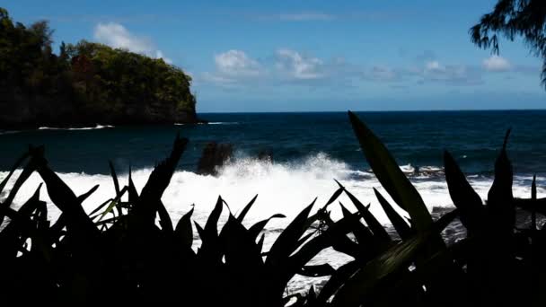 Golven Slaan Rock Big Island Hawaii Met Blauwe Hemel Witte — Stockvideo