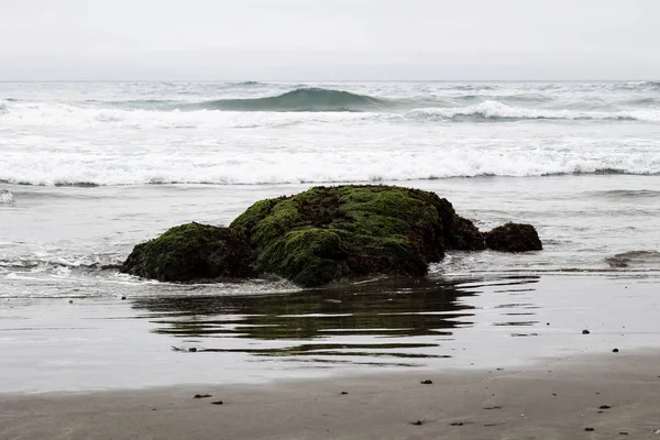 波ビーチ カリフォルニア州北部干潮で露出砂と緑の岩 — ストック写真
