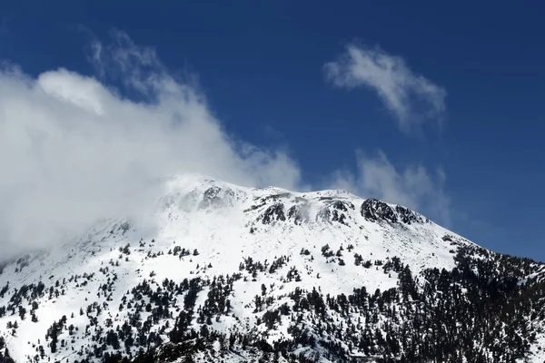 Mont Rose Nevada Enneigé Avec Nuages Ciel Bleu Vert Arbres — Photo