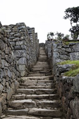 Taş merdiven ve turist Machu Picchu Peru Güney Amerika Inca kalıntıları olmadan duvarlar