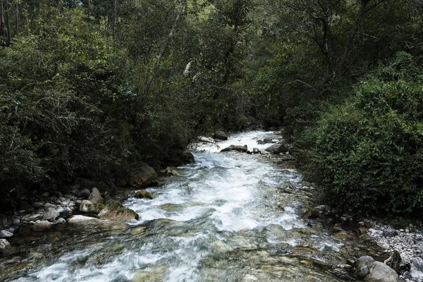 Río que corre sobre rocas Perú América del Sur con grueso crecimiento —  Fotos de Stock