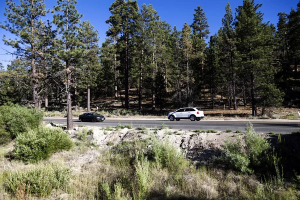 Two Cars On Rural Two Lane Highway With Pine Trees — Stock Photo, Image