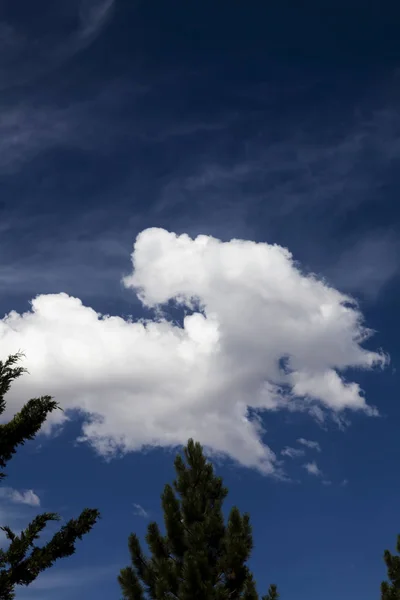 Weiße flauschige Wolke am blauen Himmel mit Zirruswolken und Kiefern — Stockfoto