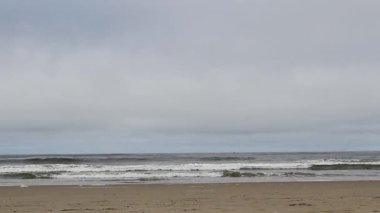 Düşük açılı Kum Sahil ve Okyanus Dalgaları Bulutlu Gökyüzü ve Watsonville California 'da uçan kuşlar