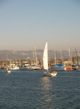 Berkeley, California, ABD - 07 Ekim 2006: Marina Motoring And Under Sail With Overcast Sky 