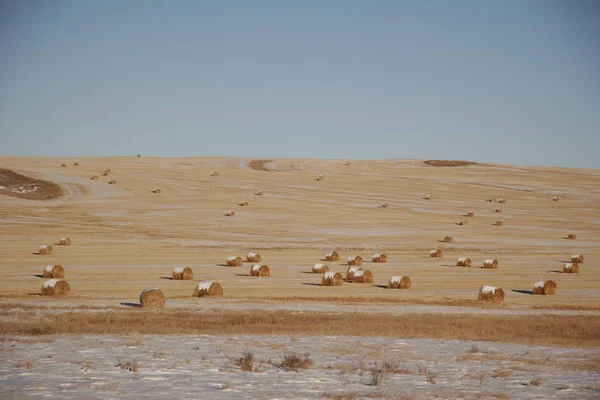 Hays Campo Invierno — Foto de Stock