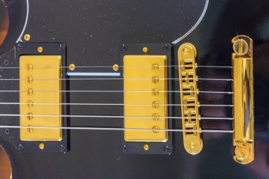 elektro gitar kapatmak
