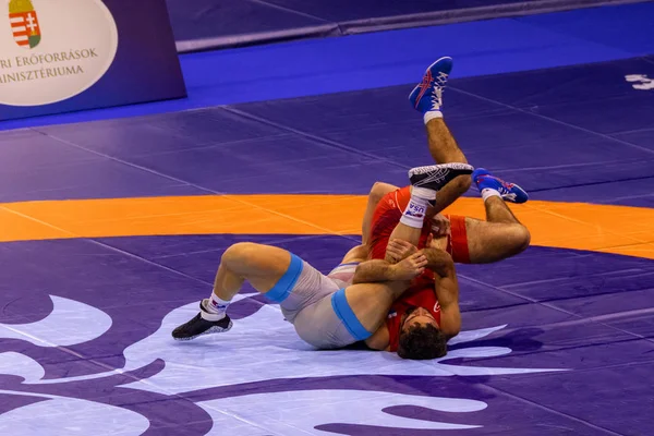 Budapest Hungary Oct 2018 Man World Wrestling Championship Pre Selection — Stock Photo, Image