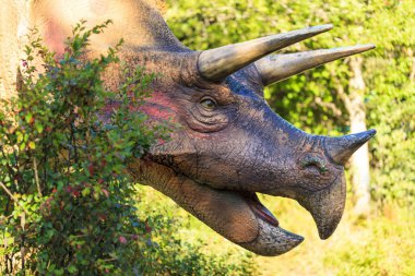 Calgary, Kanada - 16, 2014: 