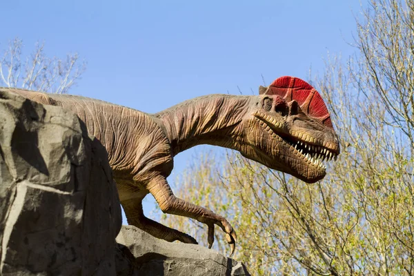 Calgary Canada 2014 Calgary Zoo Exhibition Prehistoric Park Attract Young — Stock Photo, Image