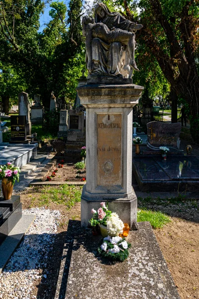 헝가리나 Nagycenk Hungary 2020 시치니 묘지와 묘지가 헝가리 인들을 성지이다 — 스톡 사진