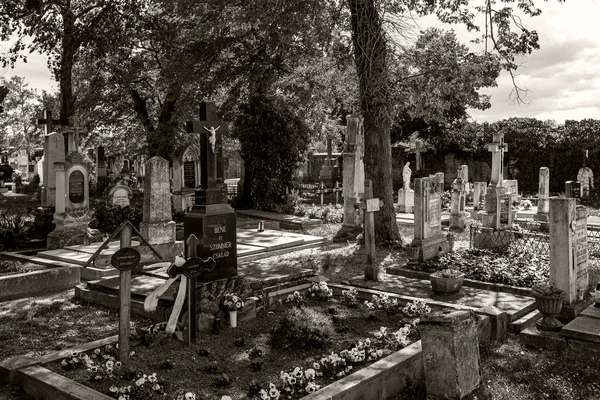 Nagycenk Hungría Mayo 2020 Mausoleo Cementerio Szchnyi Lugar Más Sagrado — Foto de Stock