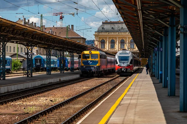 Budapest Ungheria Giu 2020 Star Ferrovie Ungheresi Nella Stazione Ferroviaria — Foto Stock